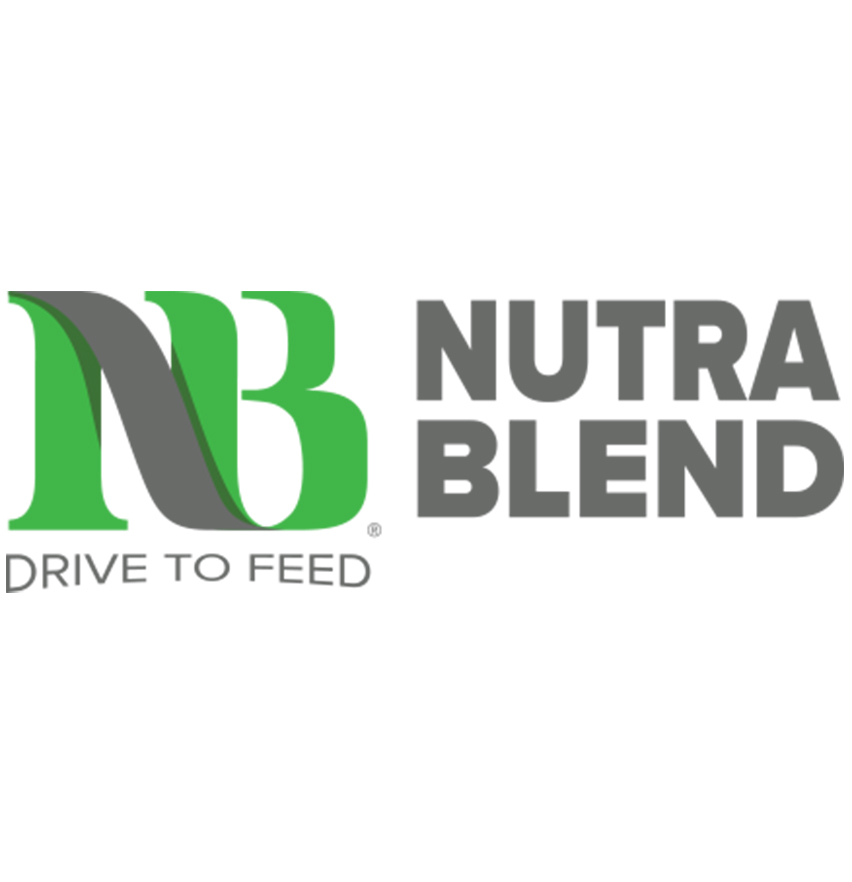 Asset 3@2x 2 0002 NB Ecommerce Logo FullColor