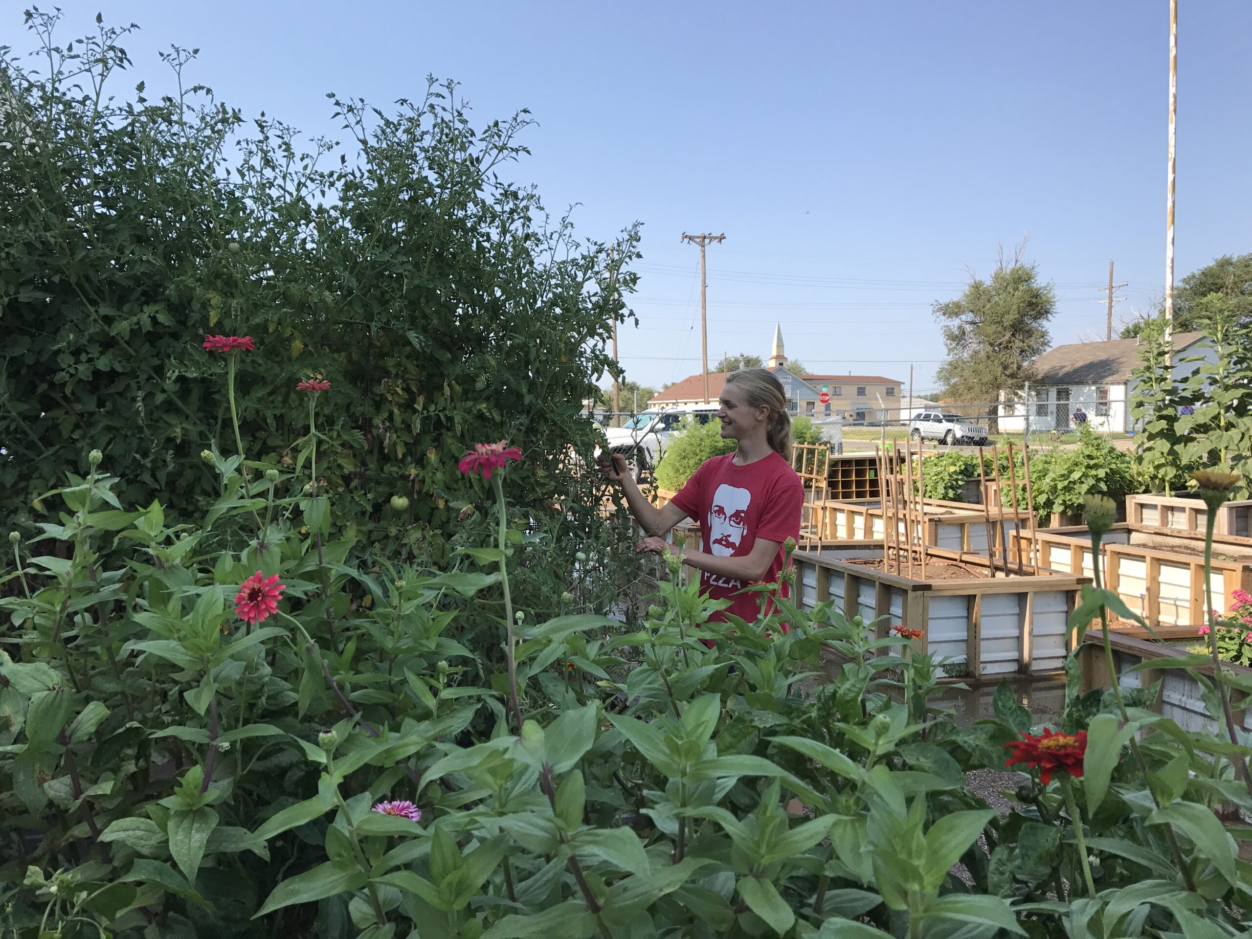 Growing Passion: Joshua Beggs Shares His Experience As SP4K Garden Intern